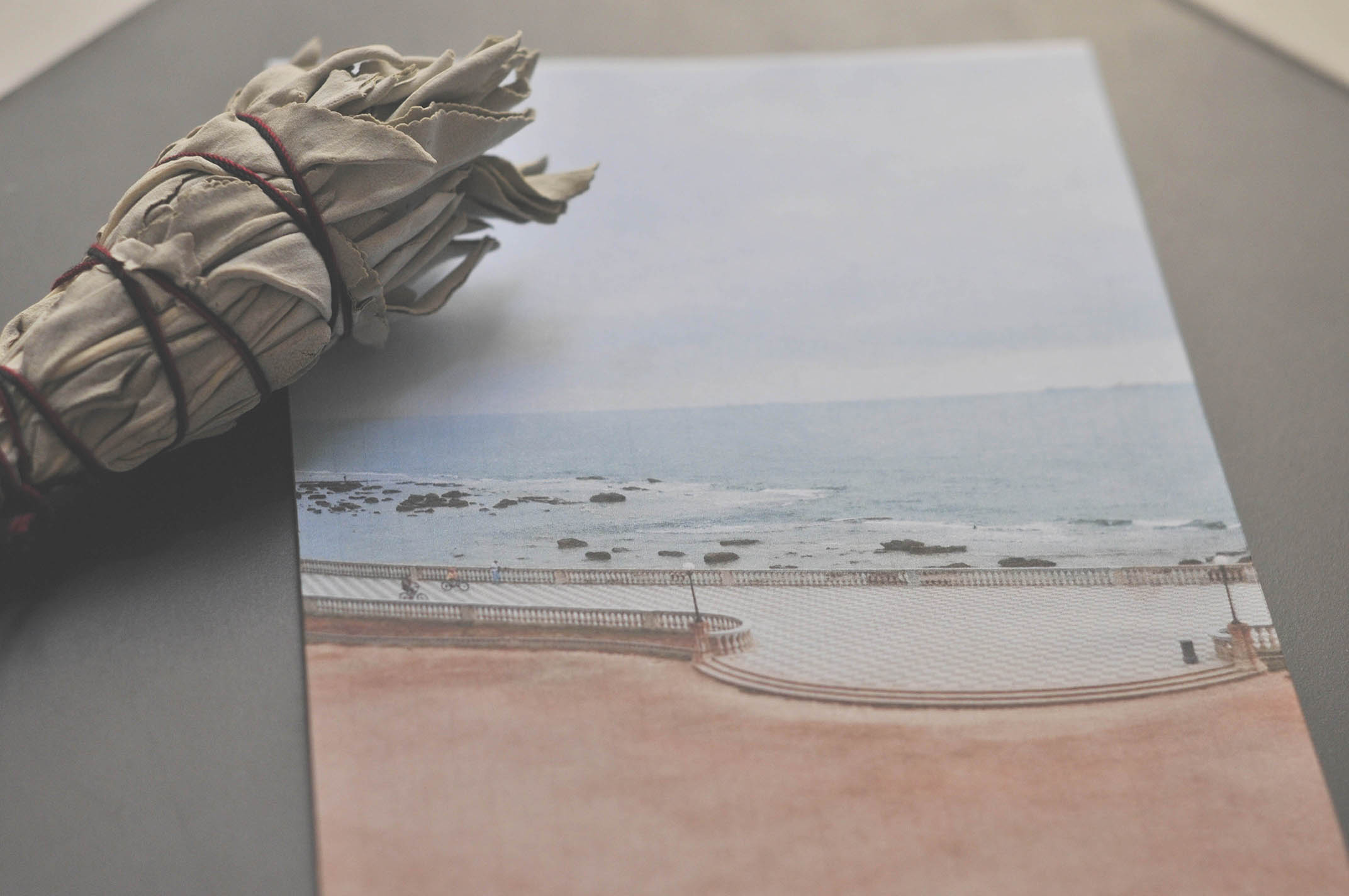 Lisa Massei psicologa